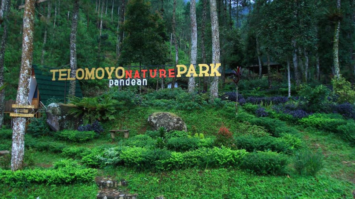 Telomoyo Nature Park: Surga Alam di Lereng Gunung Merapi